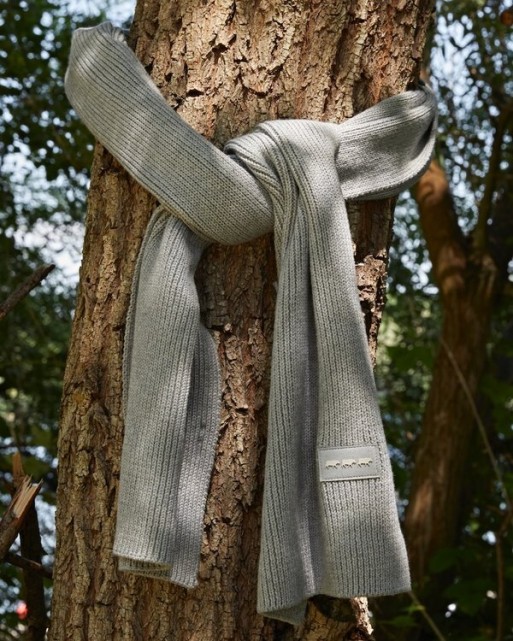 Echarpe homme unie gris clair