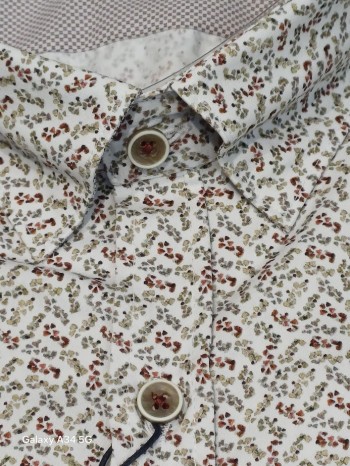 Col pointes boutonnées sous le col